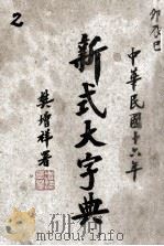 新式大字典 2 卯集-巳集 1927 PDF电子版封面 广益书局编刊