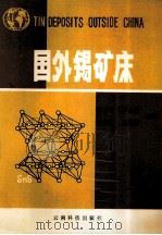 国外锡矿床 1991 PDF电子版封面 7541603899 陈吉琛,罗必伦,鄢芸樵等编著