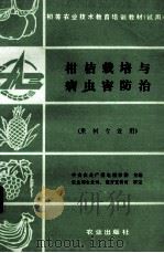 柑桔栽培与病虫害防治（果树专业用）   1991  PDF电子版封面  7109023737  中央农业广播电视学校主编；农业部农业司，教育宣传司审定 