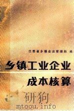乡镇工业企业成本核算 1985 PDF电子版封面 江西省乡镇企业管理局编