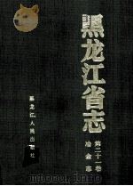 黑龙江省志冶金志 第21卷 1997 PDF电子版封面 7207035616 王广前本卷主编;黑龙江省地方志编纂委员会编