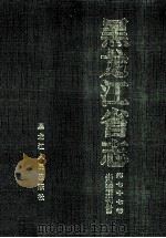 黑龙江省志 第77卷 出版图书期刊总目 下 1998 PDF电子版封面 7207041799 张伟民,陈春江主编