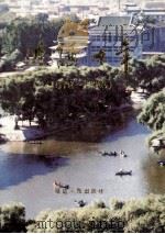 边陲十年 1978-1988 1988 PDF电子版封面 7805082243 金熟炼,闵光道主编;许哲龙等撰