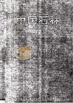 中国石林   1998  PDF电子版封面  7541610720  王富昌主编；石林风景名胜区管理局，云南新闻图片社编 
