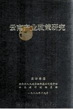 云南产业政策研究 1990 PDF电子版封面 云南省人民政府经济技术研究中心,云南省计划委员会编