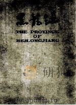 黑龙江 1991 PDF电子版封面 7207021232 黑龙江省摄影家协会编