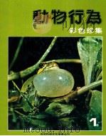 动物行为彩色珍集 1 1981 PDF电子版封面 吴惠国等编