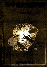 初中语文语素词典 1992 PDF电子版封面 7560206875 李光琦主编