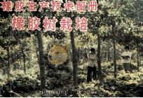 橡胶生产技术图册  橡胶树栽培   1981  PDF电子版封面    广东省农垦总局编 