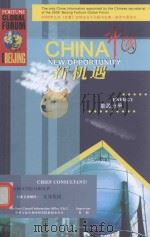 中国新机遇 中国能源热点问题评述（ PDF版）