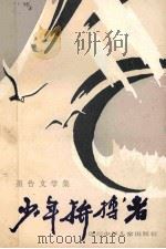 少年拼搏者 1985 PDF电子版封面 R10247·309 李楚成等著