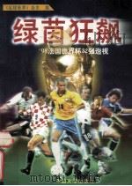 绿茵狂飙 '98法国世界杯32强透视 1998 PDF电子版封面 7507104559 《足球世界》杂志编