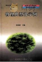 物理典型课示例 1999 PDF电子版封面 7560224709 张朴成主编
