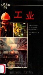 工业 1989 PDF电子版封面