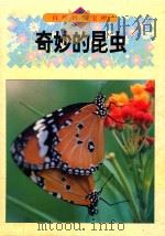 奇妙的昆虫 图集 1994 PDF电子版封面 7800517780 (日)梅谷献二著;林立译