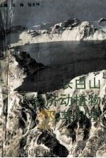 长白山经济动植物及其利用 1992 PDF电子版封面 7560205224 高玮,张文仲主编;张机敏,宋榆钧副主编