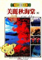 美丽秋海棠 5 1987 PDF电子版封面 董宜俐主编