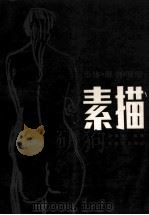 素描 形体·解剖·明暗 1987 PDF电子版封面 83536057 冯健亲编著