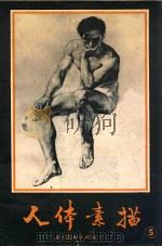 人体素描 第5集 1989 PDF电子版封面 7541003974 陈九如绘
