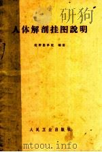 人体解剖挂图说明 1972 PDF电子版封面 沈阳医学院汇编