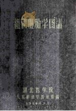 组织胚胎学图谱 1960 PDF电子版封面 湖北医学院人体解剖教研组编