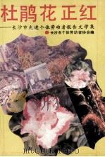 杜鹃花正红 长沙市先进个体劳动者报告文学集 1992 PDF电子版封面 7805903964 长沙市个体劳动者协会编