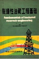 裂缝性油藏工程基础 上 1985 PDF电子版封面 T.D.VAN GOLF-RACHT著;沈志成,仲雍,张纪易