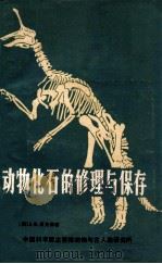 动物化石的修理与保存 1979 PDF电子版封面 (英)A.E.里克森著;史庆礼,吴文裕,董枝明,邱占祥译