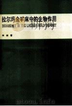 拉尔玛金矿床中的生物作用 1994 PDF电子版封面 7561626711 林丽著