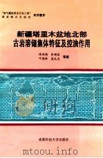 新疆塔里木盆地北部古岩溶储集体特征及控油作用 1994 PDF电子版封面 7561629427 陈洪德,张锦泉,夏文杰,叶德胜等著