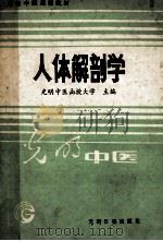 高等中医函授教材 人体解剖学 1989 PDF电子版封面 7800144941 光明中医函授大学主编