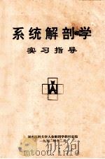 系统解剖学 实习指导 1991 PDF电子版封面 湖南医科大学人体解剖学教研室编