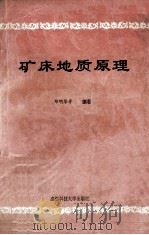 矿床地质原理 1993 PDF电子版封面 7561618425 郑明华等编著