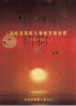辉煌十年  河南省残疾人事业发展历程  1989.1-1999.1（ PDF版）