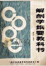 解剖学纲要教科书（ PDF版）