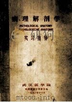 病理解剖学 实习指导 1981 PDF电子版封面 武汉医学院,病理解剖学教研室编