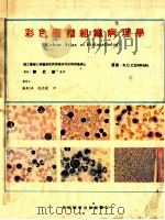 彩色图谱i组织病理学 1983 PDF电子版封面 R.C.CURRAN原著;张红淇,范文政译