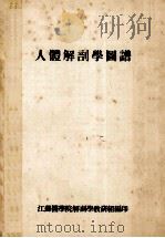 人体解剖学图谱 1957 PDF电子版封面 江苏医学院解剖学研究组编