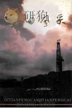 气田风采 1991 PDF电子版封面 唐克碧主编;廖光中,徐国安,陈玉川副主编;四川石油管理局党委