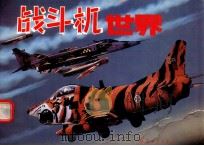 战斗机世界 1995 PDF电子版封面 7800385388 朱荣昌主编