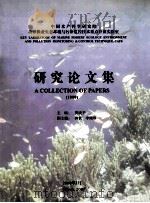 研究论文集  1999（ PDF版）