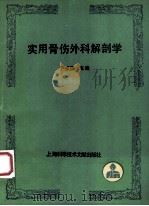 实用骨伤外科解剖学 1992 PDF电子版封面 7805139954 严振国主编