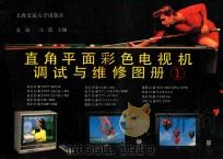 直角平面彩色电视机调试与维修图册 I 1991 PDF电子版封面 731300852X 金扬,马跃主编
