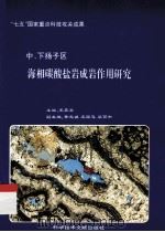 中、下扬子区海相碳酸盐岩成岩作用研究 1991 PDF电子版封面 7502313958 王英华主编;黄志诚,王国忠,梁百和副主编