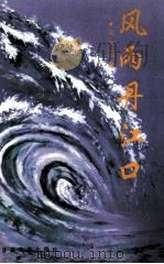 风雨丹江口 1995 PDF电子版封面 7530620835 王太国著