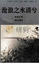 沧浪之水清兮 1995 PDF电子版封面 7536632770 杨世运著