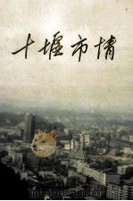 十堰市情 1995 PDF电子版封面 李全正主编