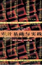 审计基础与实践 第2版 1996 PDF电子版封面 7306011383 黄应华,张树桃,李雪柔主编