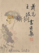肖光、王政书画集（ PDF版）