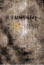 98新版 电脑游戏攻关大全 电脑玩家必备手册 1998 PDF电子版封面 7530419854 王智承,李涛编著